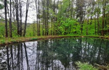 Domek Zielony Dzięcioł - Foto 7