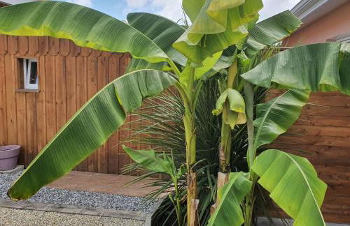 Lou Cachotte - Photo 3