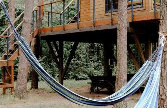 Domek na Drzewie Radziejowice blisko Suntago - Photo 1