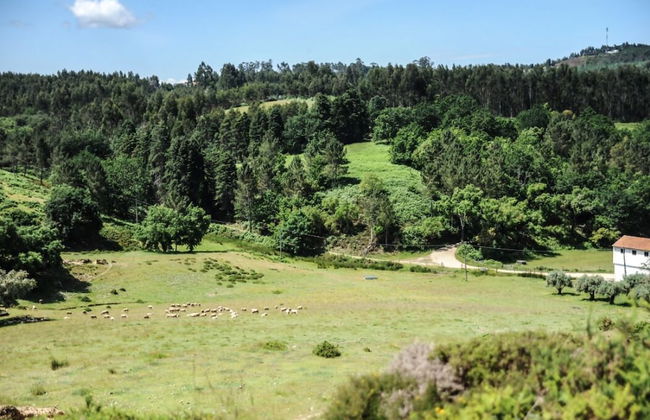 Vumba - The Bue-Maria Suite - Foto 34