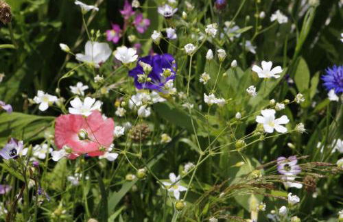 Ferienhof Stärk - Foto 83