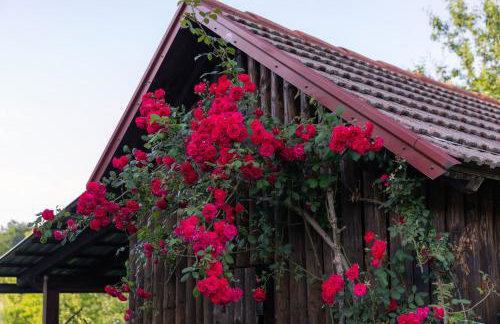 Apartment Mia - Foto 39