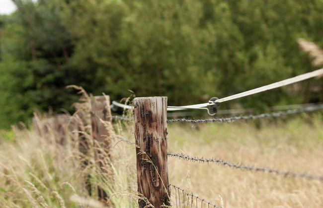 Cosy and Snug Holiday Home With Joint Swimming Pool - Foto 43