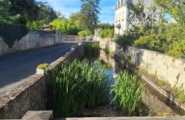 La maison du Donjon - Foto 29