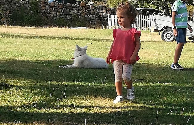 Eco Urbión - Foto 42