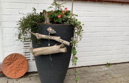 Klein Olversum - Foto 14