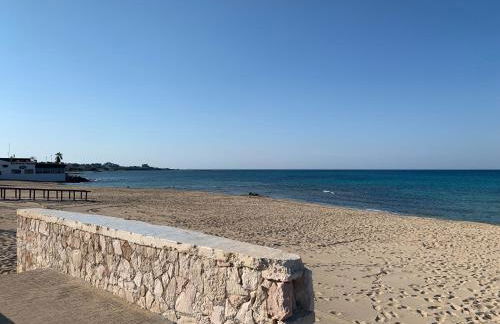 Salento Villa Cice, AC - WiFi - BBQ - attrezzatura da spiaggia - parcheggio privato sorvegliato, Due unità abitative indipendenti e giardino a due passi dal mare - Torre Ovo - Foto 55