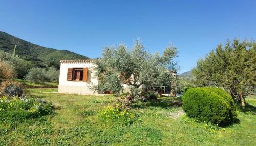 Domu abi manna - Foto 5, Garden