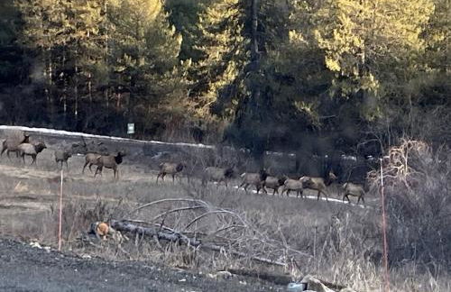 Tiny Caravan Great for Couples with Landscape Views in Idaho - Foto 10