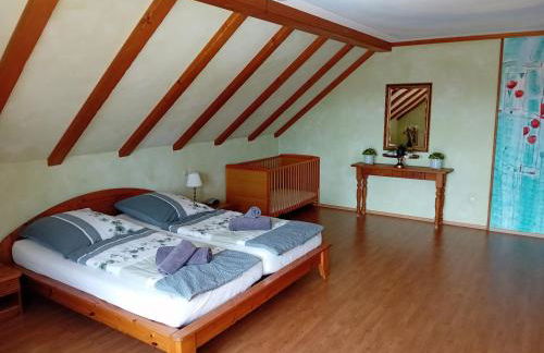 Ferienhof Handlesbauer - Foto 8