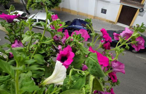 El Capricho de San Fernando, Consigna gratis y Parking a 200mts - Foto 29