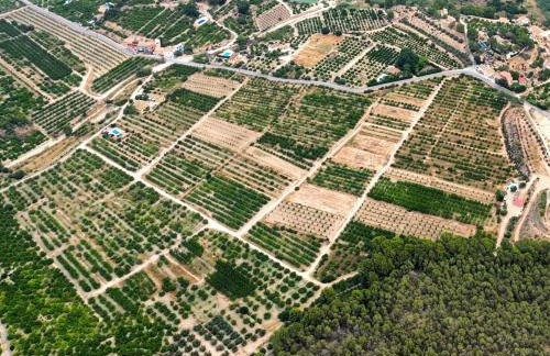 Casa Ramoncico. Finca el Campillo - Foto 36