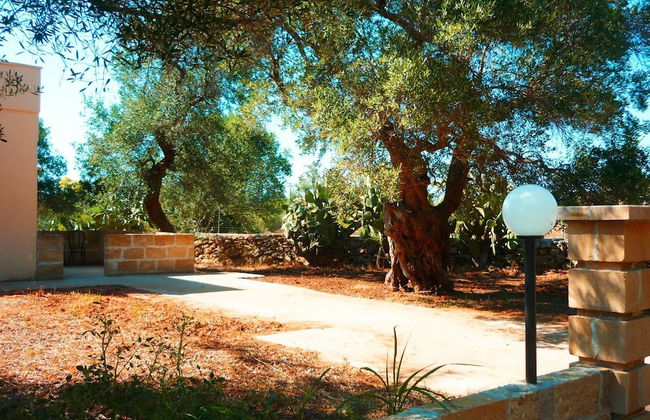 Tenuta la Siesta - Photo 72