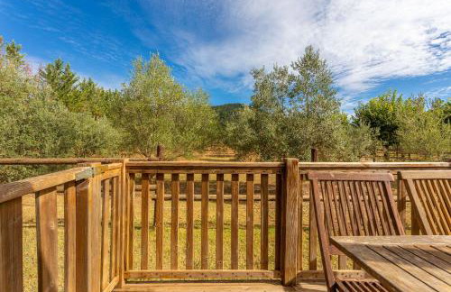 L’oliveraie Écuries Mas di Gau - Foto 18