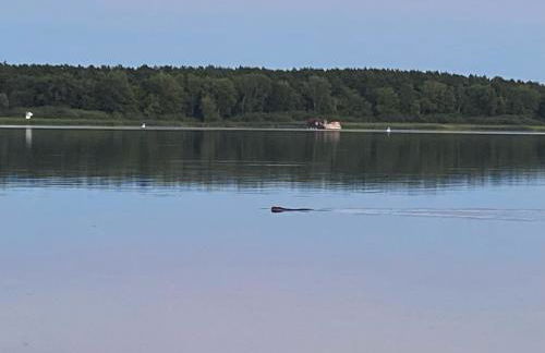 Das Naturfloß - Biberspur - Foto 27