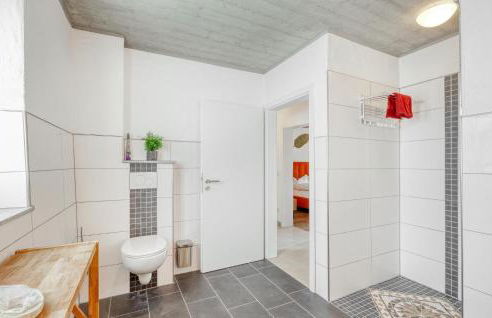 Admiral Vanessa - Foto 33