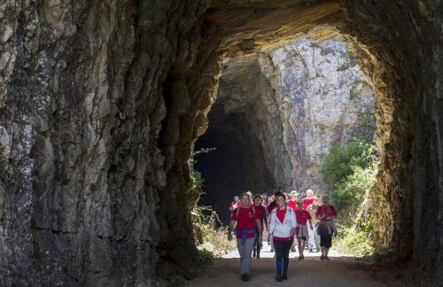 Sitio Terra do Loureiro - Foto 47