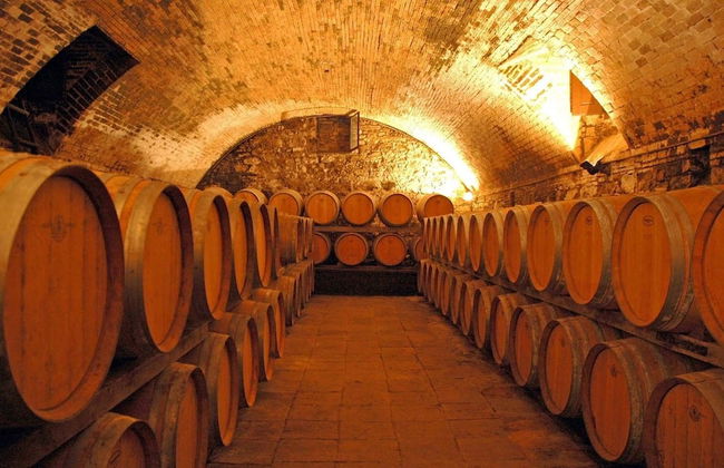 Fattoria Casa Sola - Foto 52