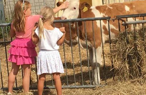 Weidelandfarm am Riebener See - Photo 18