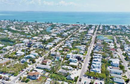 Angelfish (AMV) - Foto 39