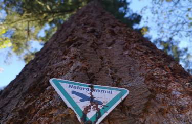 Ferienwohnung in Waldrandlage in Nationalpark Schleiden / Eifel - Foto 64