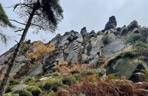 Honeysuckle Cottage - Foto 35