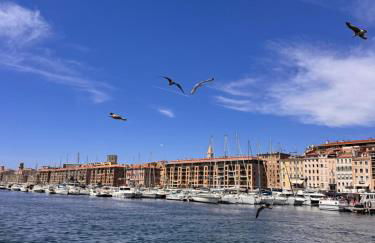 Terrasse plein sud, confort, clim, 2 mn du Vieux Port - Foto 14