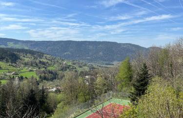 Les Hauts de la Piquante Pierre - Foto 12