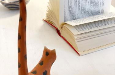 COMFORTABLE SEA HOLIDAYS AND WALKS - Foto 31