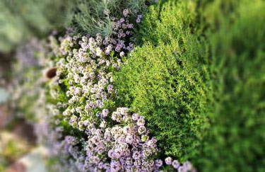 Casa Mantel Panoramic view in Langhe - Foto 63