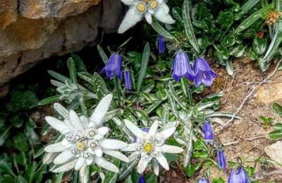 Mes Lastei - Foto 44