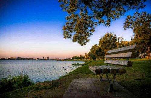 5 STAR House - Chic Mid-Century Modern Luxury Home - Foto 50