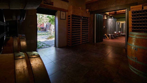 Interior da vinícola Las dos Antiguas