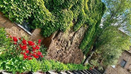 Le mie origini - Foto 2