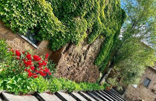 Le mie origini - Foto 2