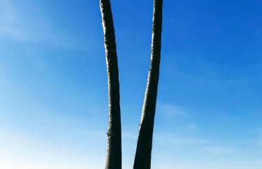 Ca Na Vinyet - Foto 39