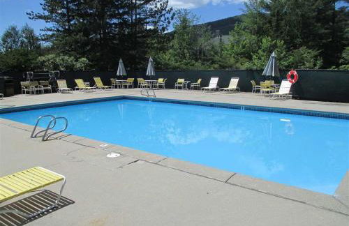 Cozy Ski Condo - Foto 22