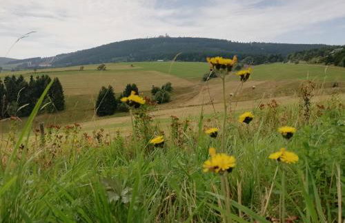 Ferienwohnung Familie Leupold - Foto 30