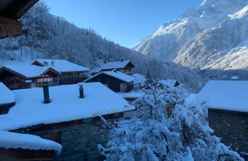 Half duplex chalet, facing south with Mont Pourri - Foto 15