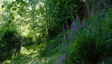 Pretty sunny cottage, Machynlleth - Foto 2