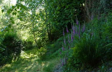 Pretty sunny cottage, Machynlleth - Photo 2
