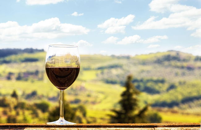 Palagio 10 in Chianti With Shared Pool - Photo 16