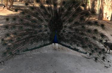 Wine Country Private Working Sheep Farm; Rustic Elegance - Foto 2