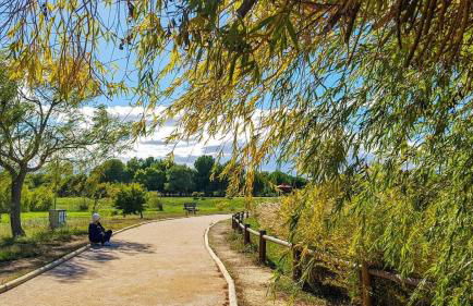 Golf Saint Cyprien ground floor 2 bedrooms Apartment with terrace - Photo 55