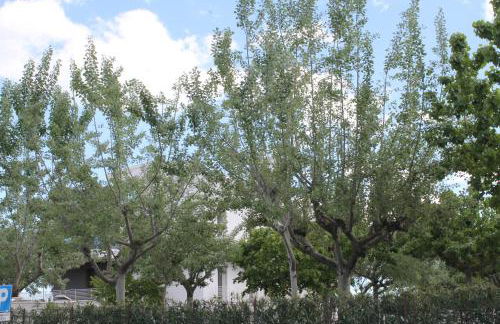 Soffio del mare - Foto 49