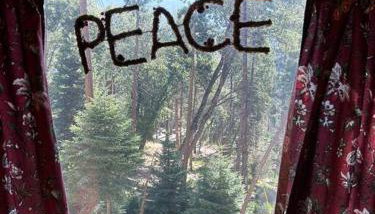 Sequoia National Forest CabinD - Foto 5