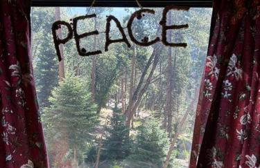 Sequoia National Forest CabinD - Foto 5