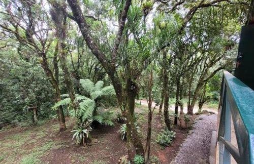 Chalé do Lopo - Photo 28