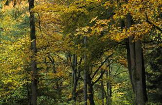 Chalet Alba - Foto 62