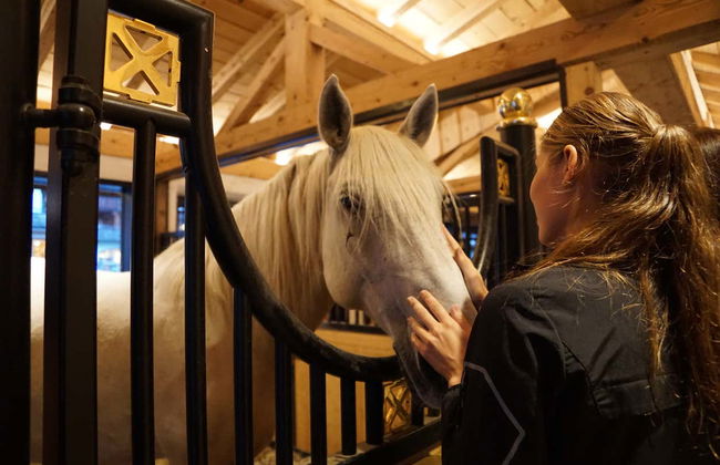 Excursão a Lipica e às grutas de Škocjan - Foto 1